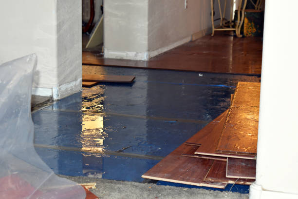 Professional Basement Flooding technician working in Troy, TX